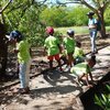 Exploration de la mangrove